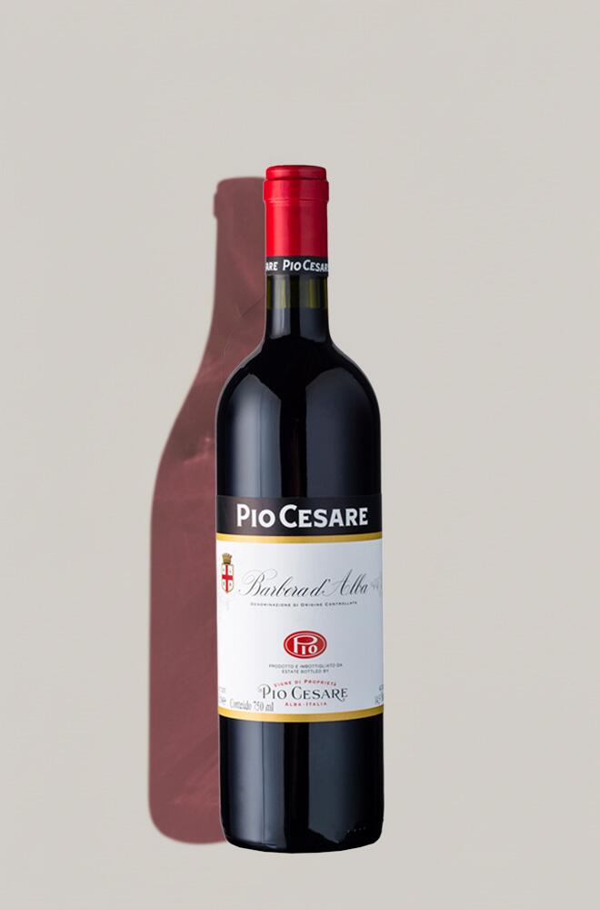 Barbera Dalba (Pio Cesare) - Piemonte